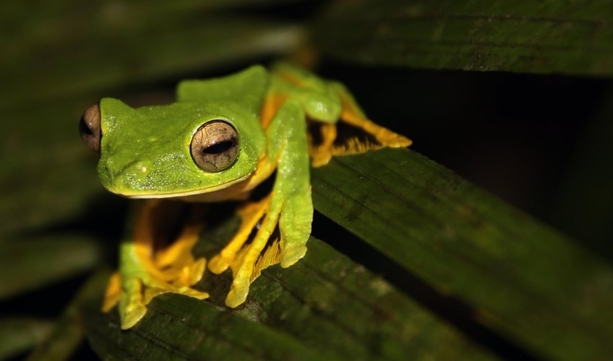 dealer lukasz ieuhf iwehf iw qefuhewufh weifh iuewh fihweiufh wiuehf iuweh fiuhw