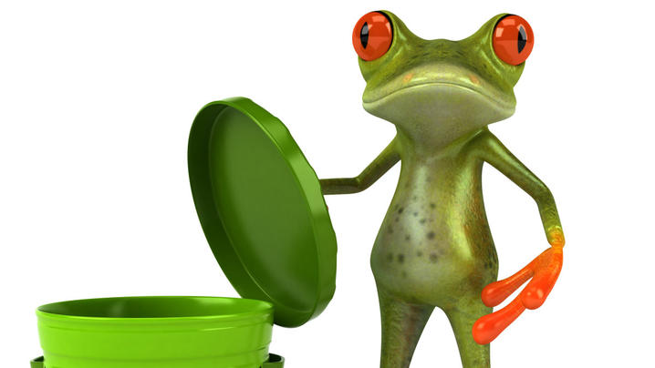 IVECO Daily 35C11 AUTOTRANSPORTER