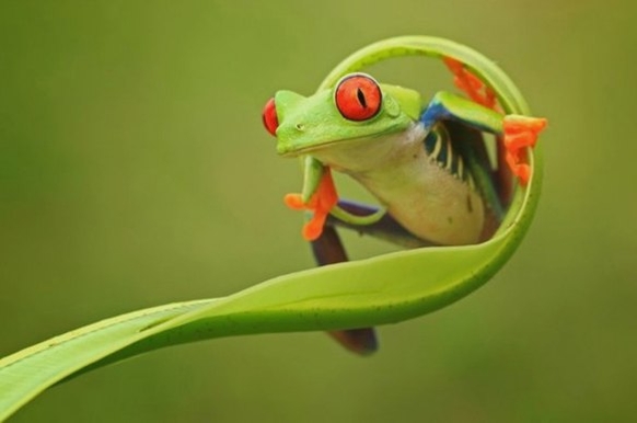 dealer lukasz 3 edit edit