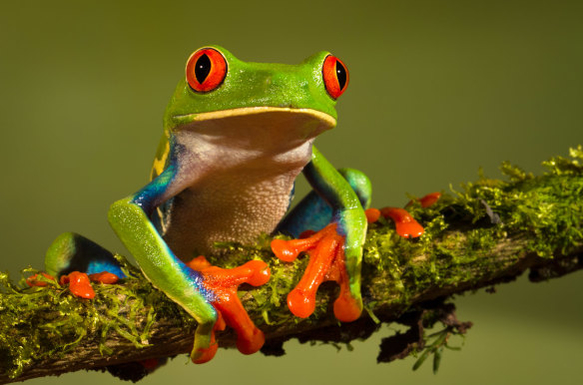 promka pani dorotka 2