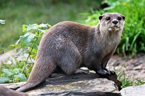 promocja pani dorotka