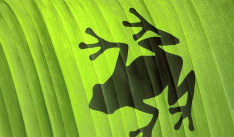 aktualność superdealer